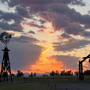 Windmill and entrance by Big Sky Windmills, in Longmont, Colorado. Photo by Jeff Childs.
