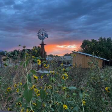 Owner-installed windmill on a Big Sky Windmills tower in Mapleton, Utah. Photo by Mark Bleggi.