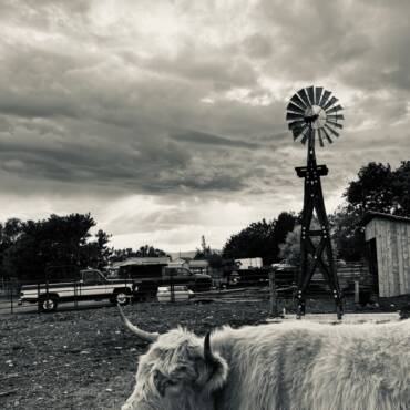 Owner-installed windmill on a Big Sky Windmills tower in Mapleton, Utah. Photo by Mark Bleggi.